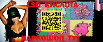 mdma Новозыбков